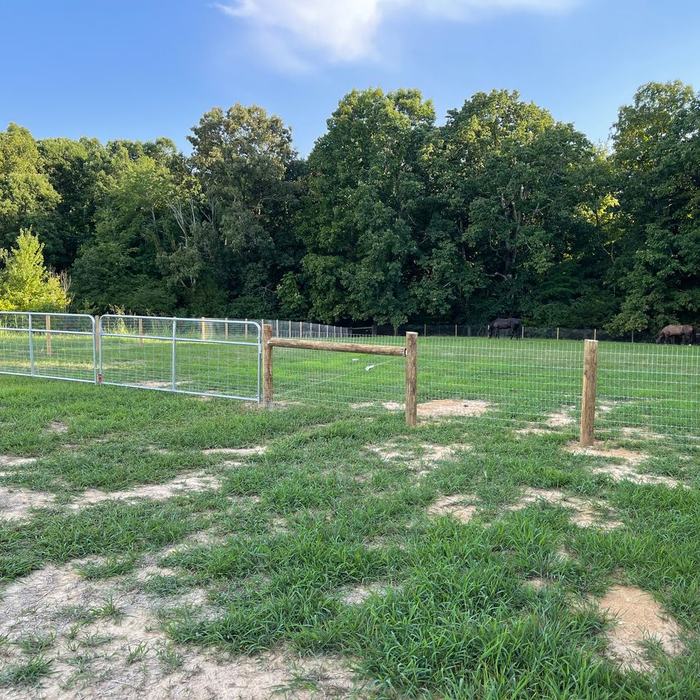 Woven wire pasture fence enclosing a wide green field